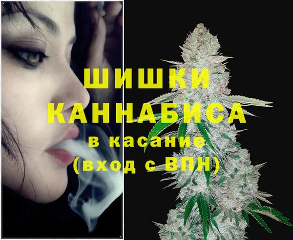 ГАЛЛЮЦИНОГЕННЫЕ ГРИБЫ Горно-Алтайск