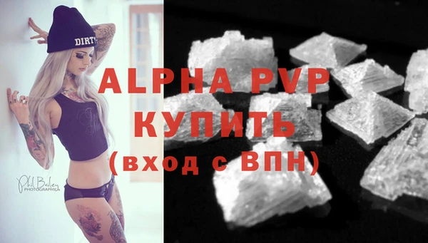 ГАЛЛЮЦИНОГЕННЫЕ ГРИБЫ Горно-Алтайск