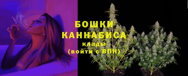 MESCALINE Горняк