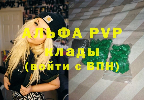 ГАЛЛЮЦИНОГЕННЫЕ ГРИБЫ Горно-Алтайск