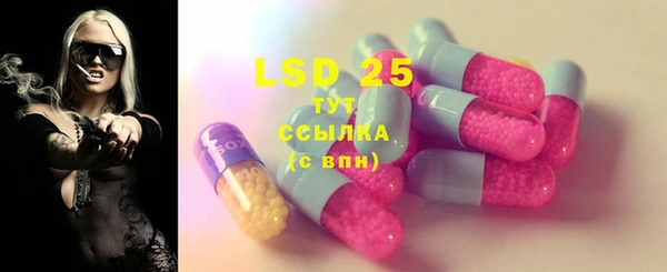 ГАЛЛЮЦИНОГЕННЫЕ ГРИБЫ Горно-Алтайск