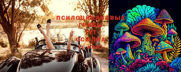 мескалин Гусиноозёрск